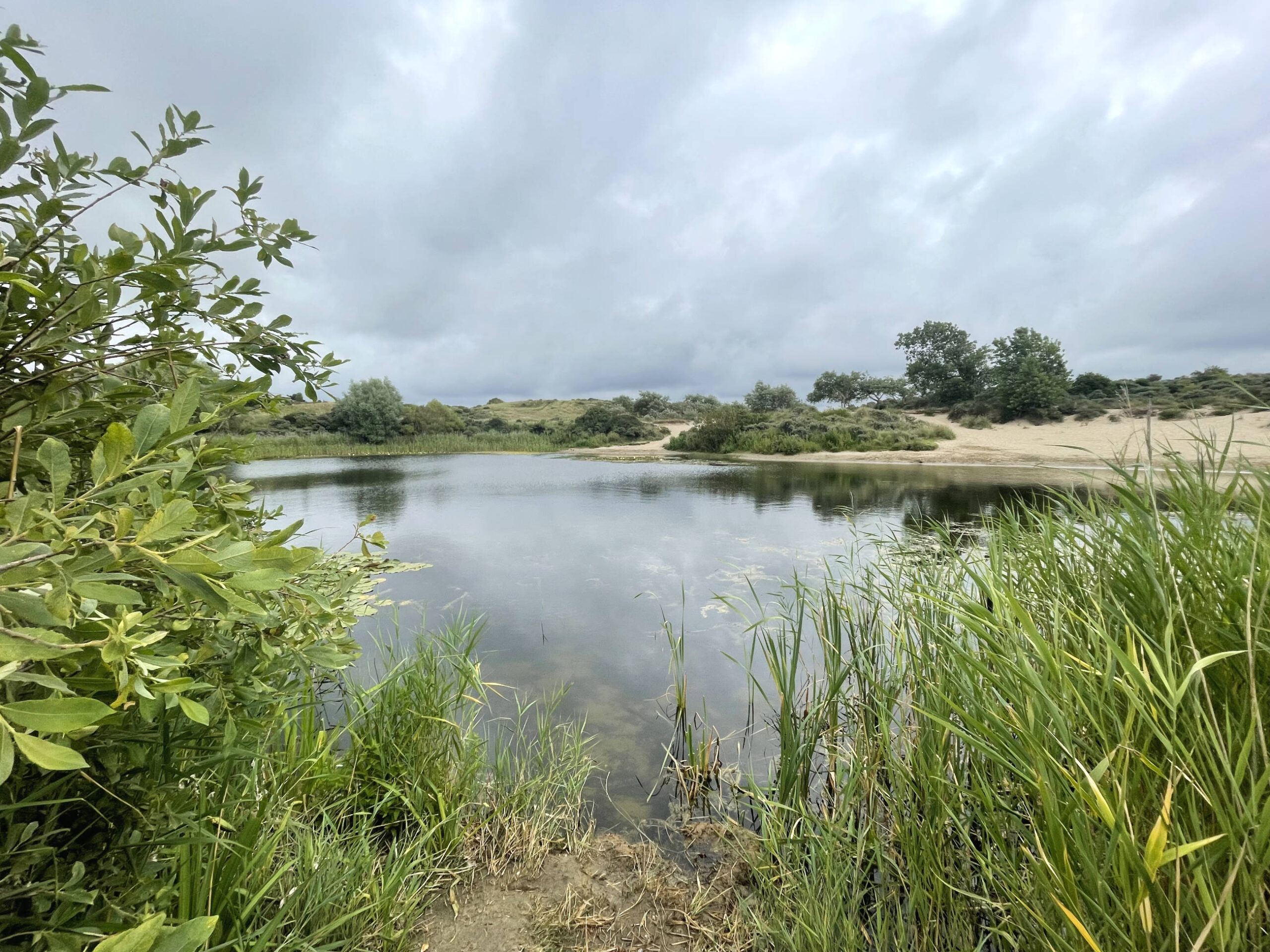 Dünenlandschaft
